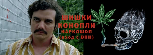 PSILOCYBIN Балабаново