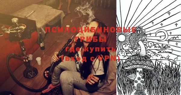 PSILOCYBIN Балабаново