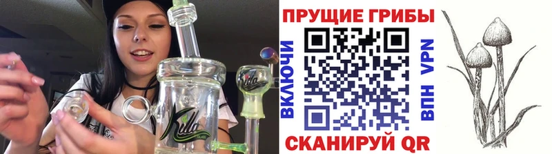 Псилоцибиновые грибы MAGIC MUSHROOMS  Кувандык 